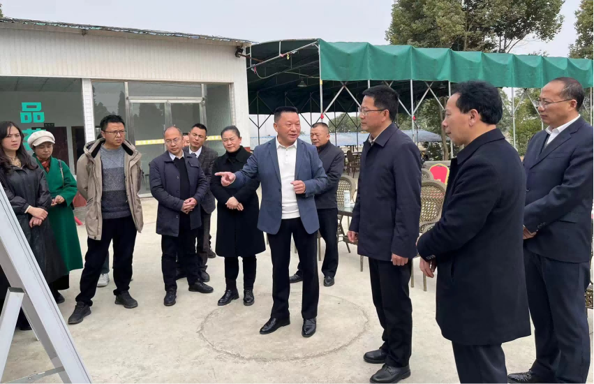 绵阳市安州区委书记胡斌一行莅临绵阳市南充商会 乡村振兴基地——安州区皂河村世纪梨缘考察调研